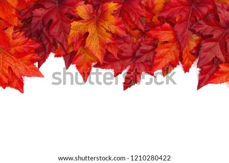 Autumn background with red and orange fall leaves isolated over white with copy space for your message Royalty-Free Stock Photo #1210280422