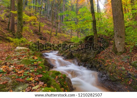 Beautiful landscape in autumn in forest with river and colorful Trees