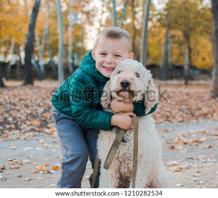 little boy hugs royal poodle