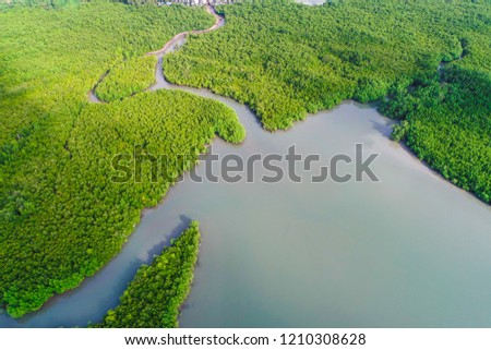Aerial view landscape of mangrove tropical forest river to the sea
