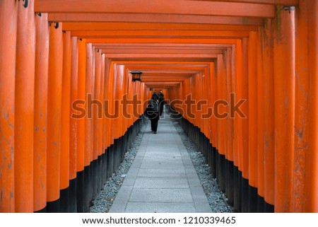 Thousands of vermilion torii gates, Fushimi Inari Taisha Shrine in Kyoto