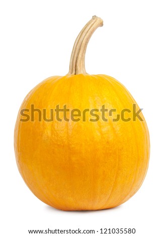 Single fresh pumpkin isolated on white background