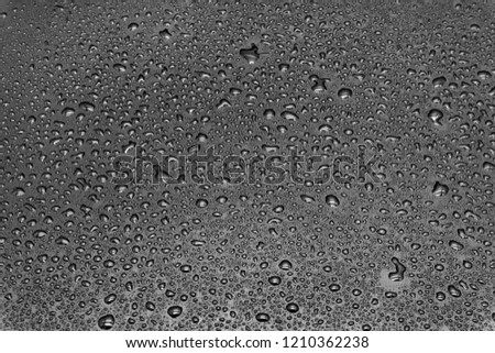 Drops of water on a gray background, texture closeup