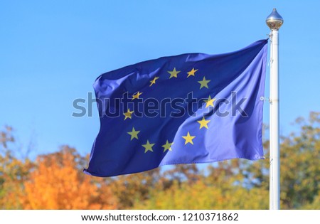 European Union flag on a background of autumn trees