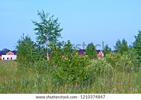 Field with green grass in the foreground young forest with birches and shrubs, in the distance townhouses, houses, cottages, construction, nature
