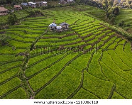 Aerial top view photo from flying drone of the Buddhist temple and fields in the countryside of Chiang Mai Northern Thailand