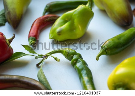 pepper with leaves. sweet and hot peppers.