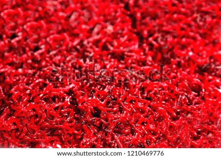 Winter red worms for winter fishing on a  background, isolate