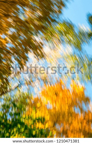 Blurred abstract background of autumn leaves on trees in motion. The concept of rotation in nature in autumn.