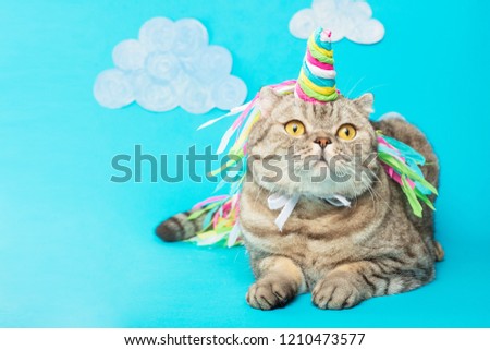 Cute cat unicorn with clouds on a blue background with clouds. The concept of fairy tales, fashion, funny and sweet cats, love and holiday. With empty space