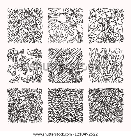 Floral ornaments, botanical textures. Design elements for organic branding, wedding invitation, greeting card, fashion floral textile prints. Hand drawn subtropical plants patterns isolated vector set