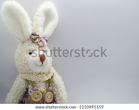 cute rabbit on the left on a white background with free space for text.