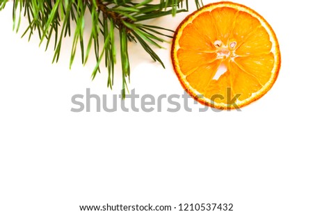 Orange slice is a circle and a branch of the Christmas fir. Food photography. Background. White. Free space for inscriptions.