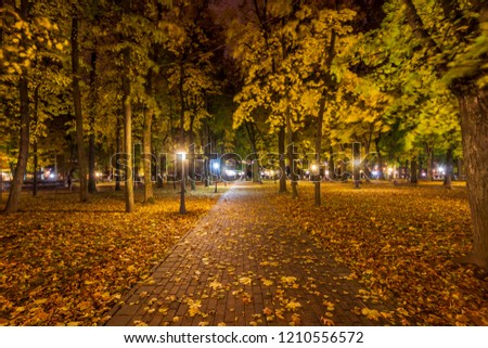 City night park in autumn with paths strewn with fallen yellow leaves and maple trees. Landscape.