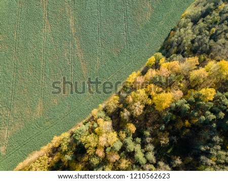 drone image. aerial view of rural area with fields and forests in cloudy autumn day with yellow colored fall trees day. latvia