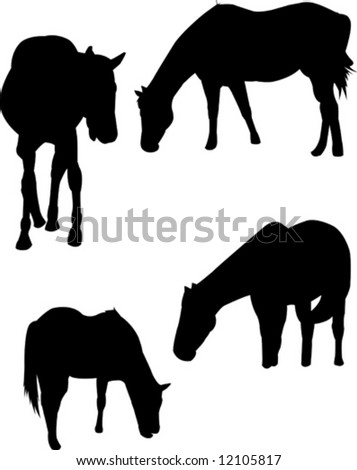 Horse silhouettes.