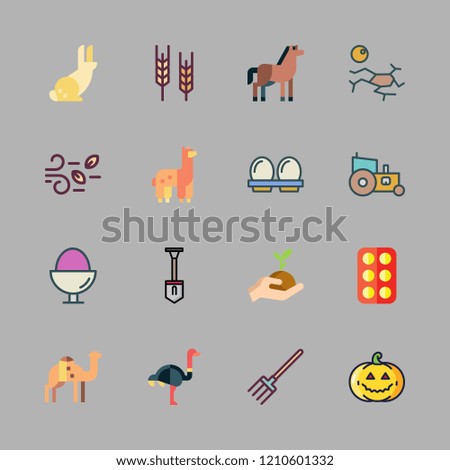  vector set about drought, horse, wind and pitchfork icons set.