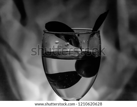 silhouette of a glass with water and a tangerine branch