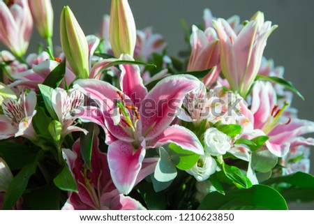 bouquet of lilies flowers on a gray background
