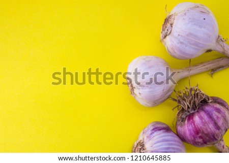 Bunches of unpeeled garlic on yellow uniform background view from above with the clear area of half photo for labels, headers. Concept photo for use in cooking or benefits of garlic