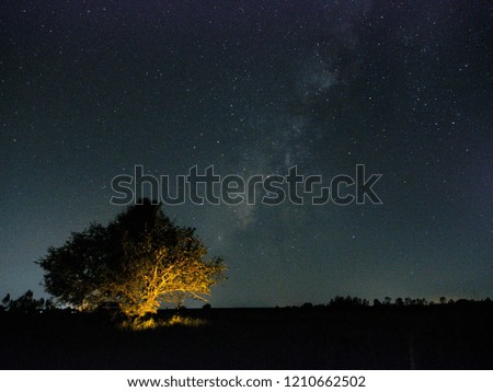 Milky way at the field