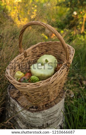 vegetables in a basket on a stump