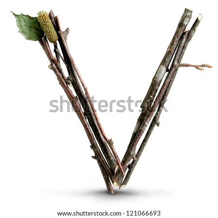 Photograph of Natural Twig and Stick Letter V