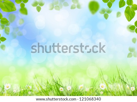 Spring meadow with green leaves