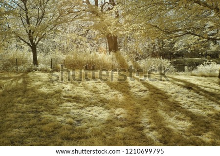          Yellow Infrared landscape                     