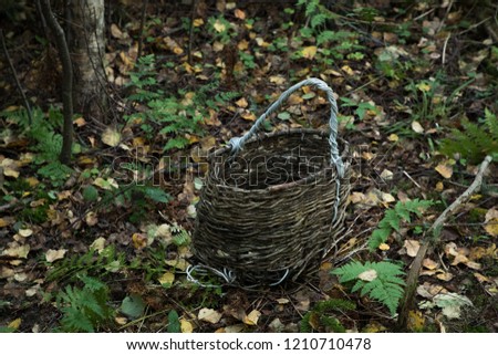 wooden basket in the forest on the ground in the autumn season