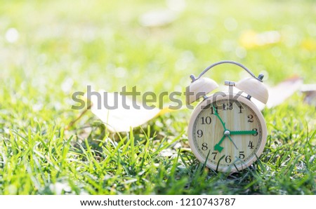 The alarm clock on the lawn in the sun