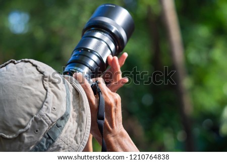 Photographer taking photos of bird above the tree