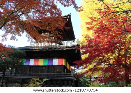 Autumncolors in Japan