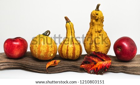 Pumpkins, apples and autumn leaves on a wood with white background