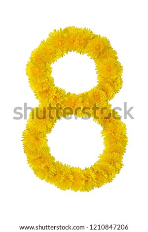 Arabic numeral 8, eight, made from dandelion flowers, isolated on white. Dandelion font for Unique Design Ideas.
