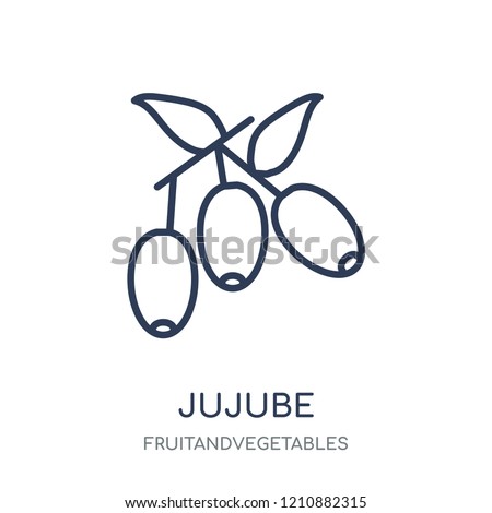 Jujube icon. Jujube linear symbol design from Fruitandvegetables collection. Simple outline element vector illustration on white background.
