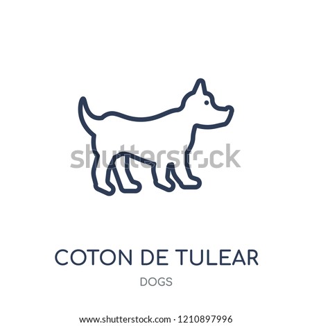 Coton De Tulear dog icon. Coton De Tulear dog linear symbol design from Dogs collection. Simple outline element vector illustration on white background.