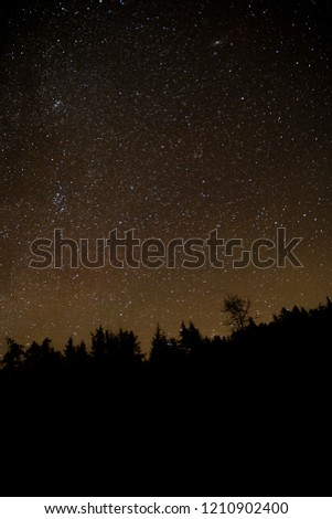 Stars in the Night Sky with the silhouette of trees