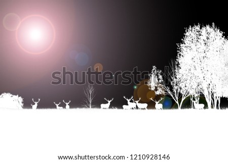 Invert effect, black and white photo. Beautiful young and adult mule red deer bucks herd with growing antlers in the meadow on dramatic sunset or sunrise background. Majestic animals in natural park
