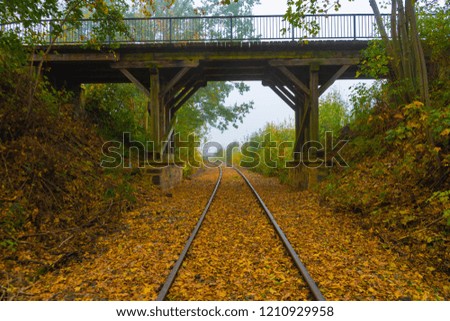 railway rails in autumn in the morning fog