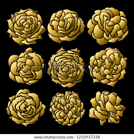 Decorative rose flowers, design elements. Can be used for cards, invitations, banners, posters, print design. Golden flowers