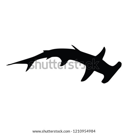 Hammerhead shark, vector