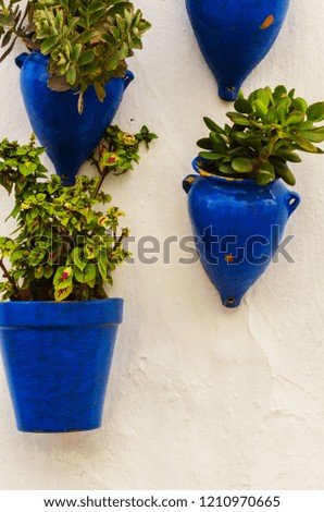 ceramic flower pot with flowers hung on the wall, decorating the urban space, decorative street