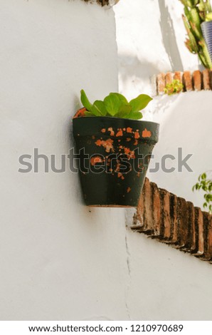 ceramic flower pot with flowers hung on the wall, decorating the urban space, decorative street