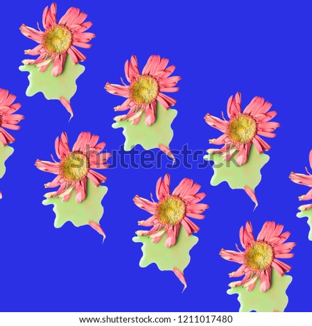 a solitary pink flower on a rainbow graphic background, textured,  trendy colors