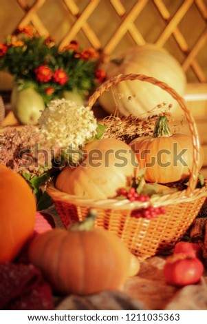 Colorful picture with autumn harvest included fruits and vegetables on the table.
