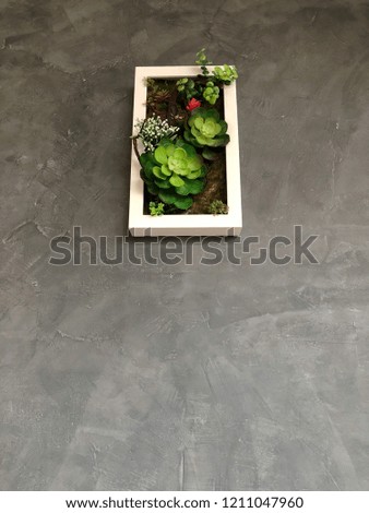 Artificial flowers in white frame on the cement wall, Decorative elements.
