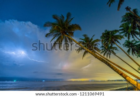 Inclined coconut trees leaning toward the tropical beach on a summer night, the horizon of the lightning bolts through the dramatic clouds are interesting for night scenes.