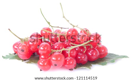 red currants isolated on white background