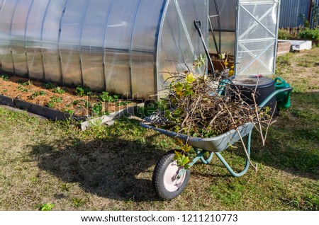 wheelbarrow with plant branches on the background of polycarbonate greenhouse Royalty-Free Stock Photo #1211210773